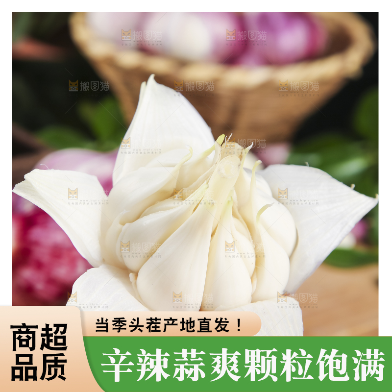 手里拿着云南紫皮蒜
