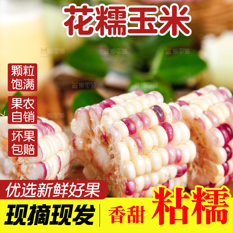木板上放着切块的香甜糯玉米