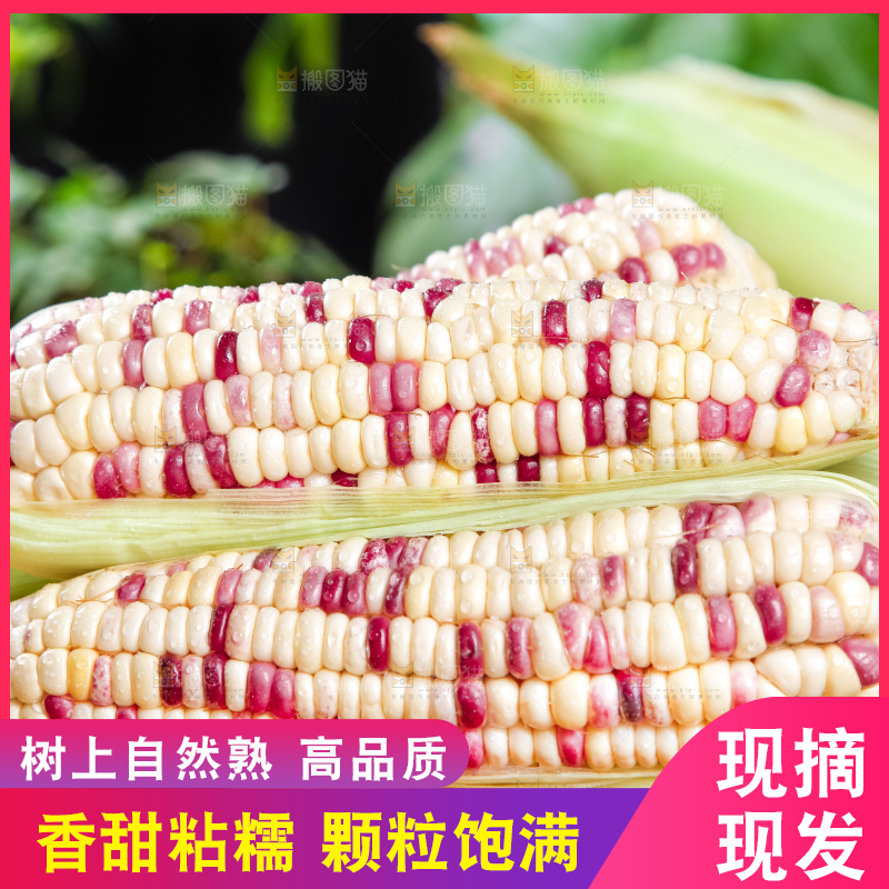 木盘里面放着剥皮的花糯玉米