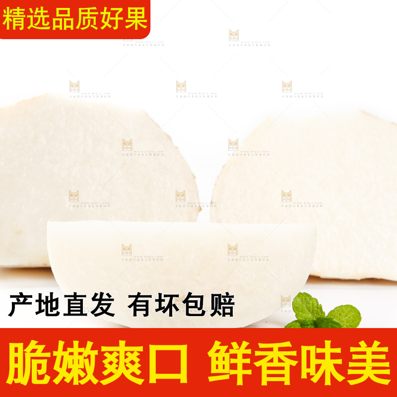 白底上的凉薯