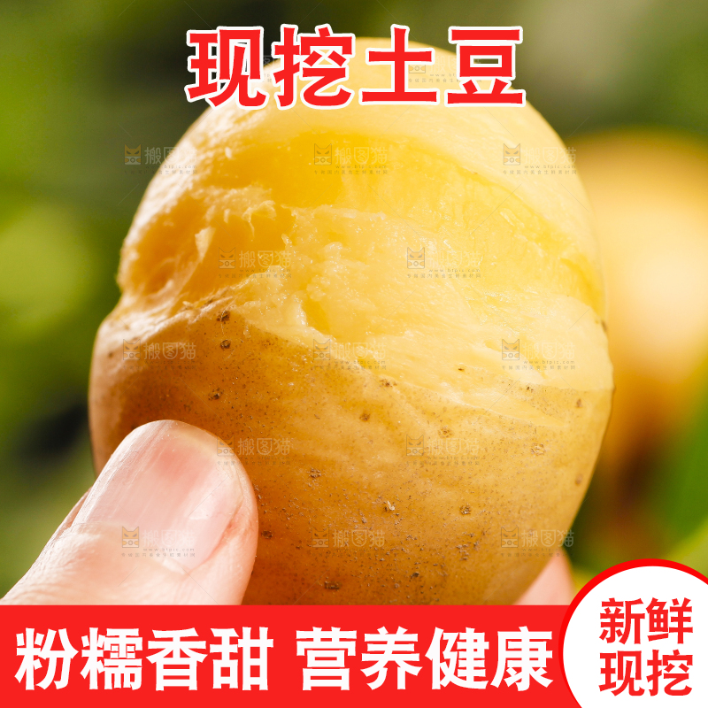 手里拿着小土豆