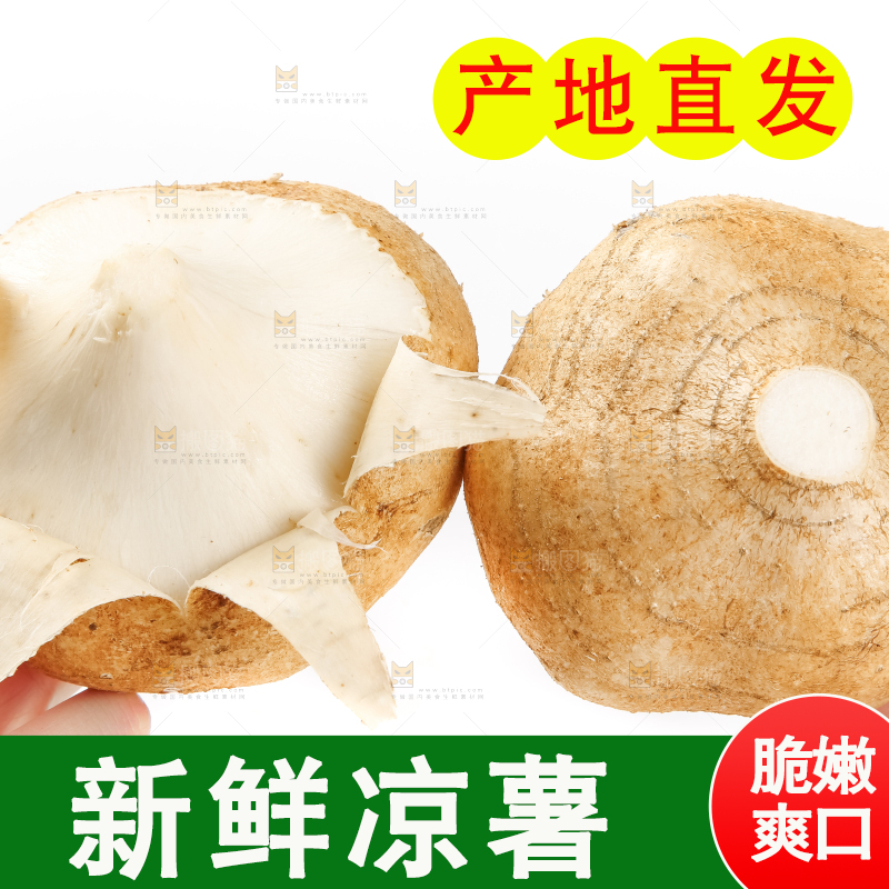 手里拿着凉薯