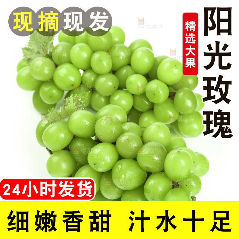白底上放着阳光玫瑰