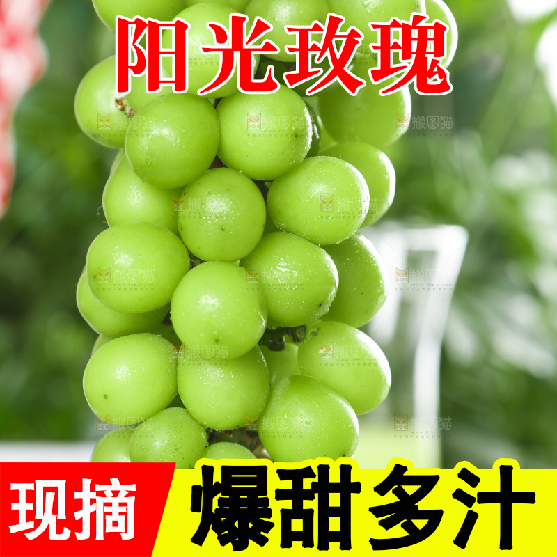 手里拿着香印青提
