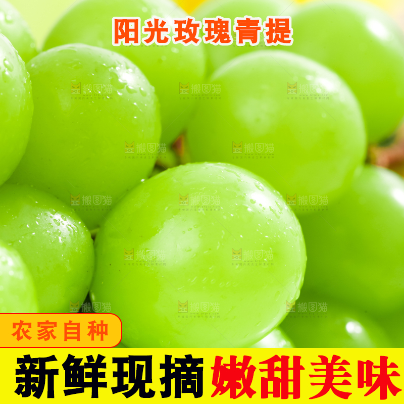阳光玫瑰