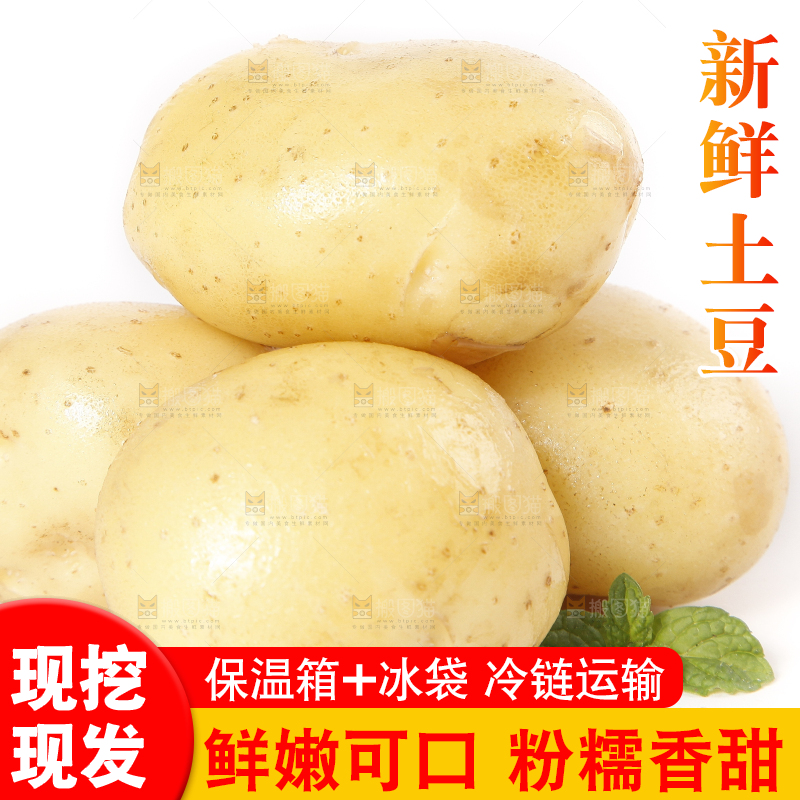白底上的土豆