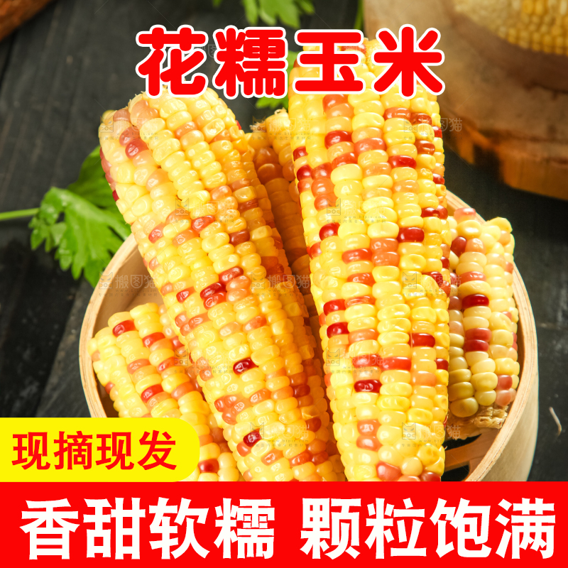 竹笼里装着糯玉米