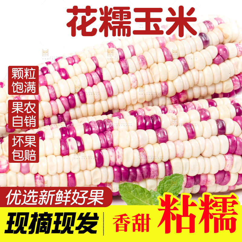 盘子里装着花糯玉米粒