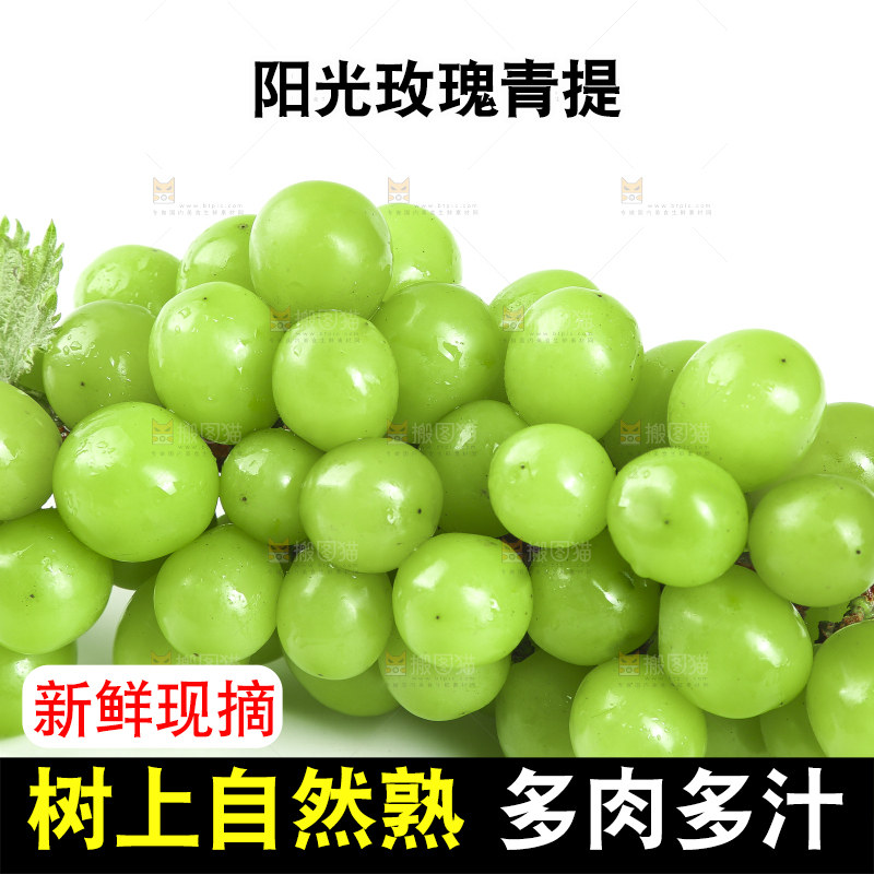 白底上放着阳光玫瑰