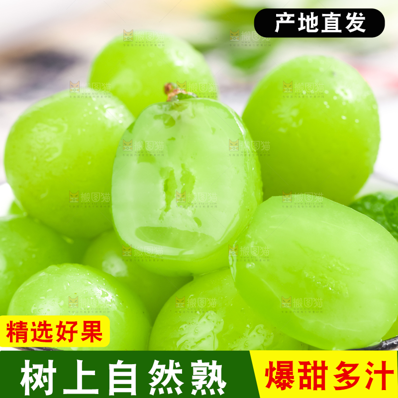 碟子里装着阳光玫瑰