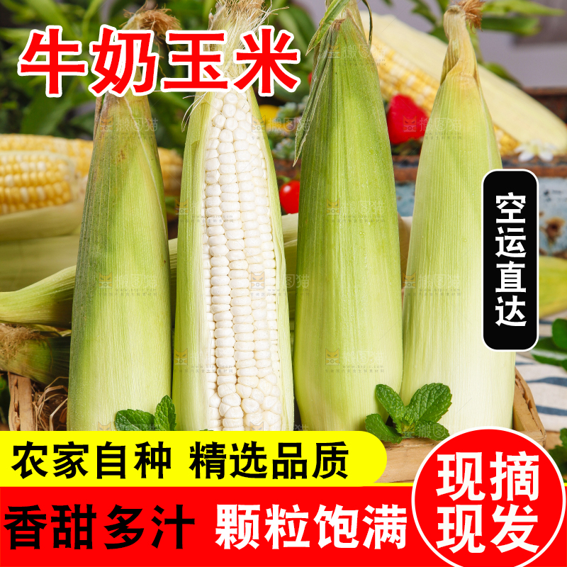 竹篮里放着牛奶玉米