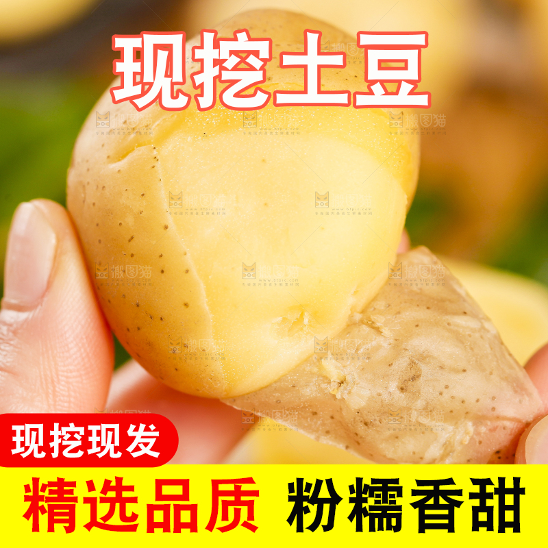 手里拿着小土豆