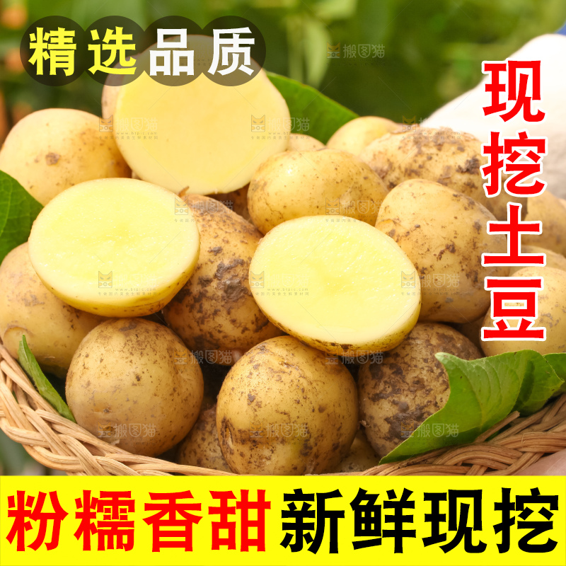 竹篮里放着云南小土豆