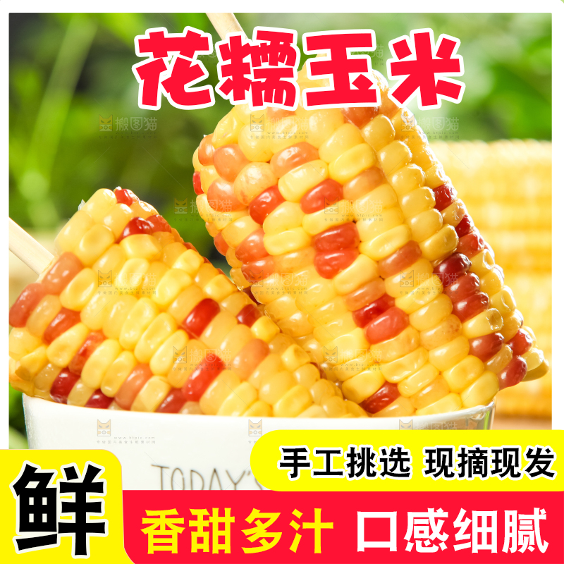 碗里装着糯玉米
