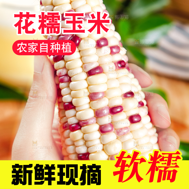手里拿着剥皮的花糯玉米