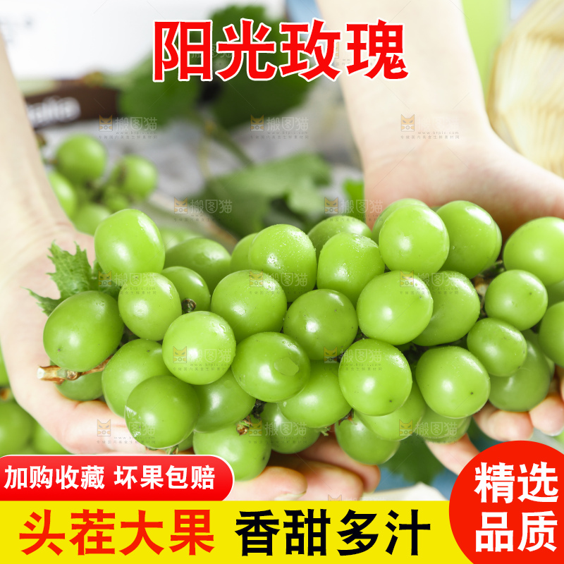 手里拿着香印青提