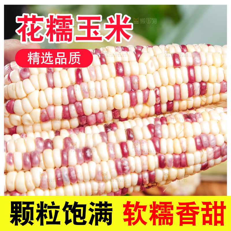 手里拿着剥皮的香甜糯玉米