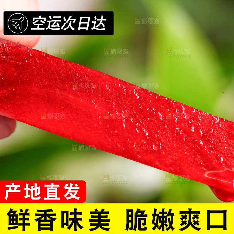 手里拿着切丁的甜菜根
