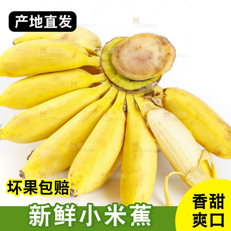 白底上的小香蕉