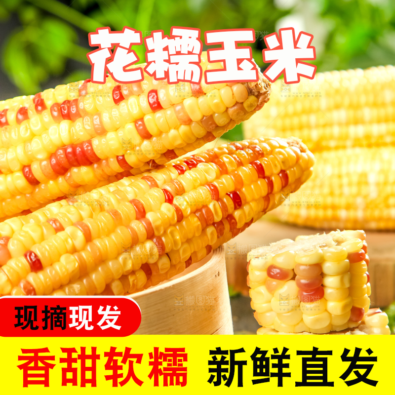 竹笼里装着糯玉米