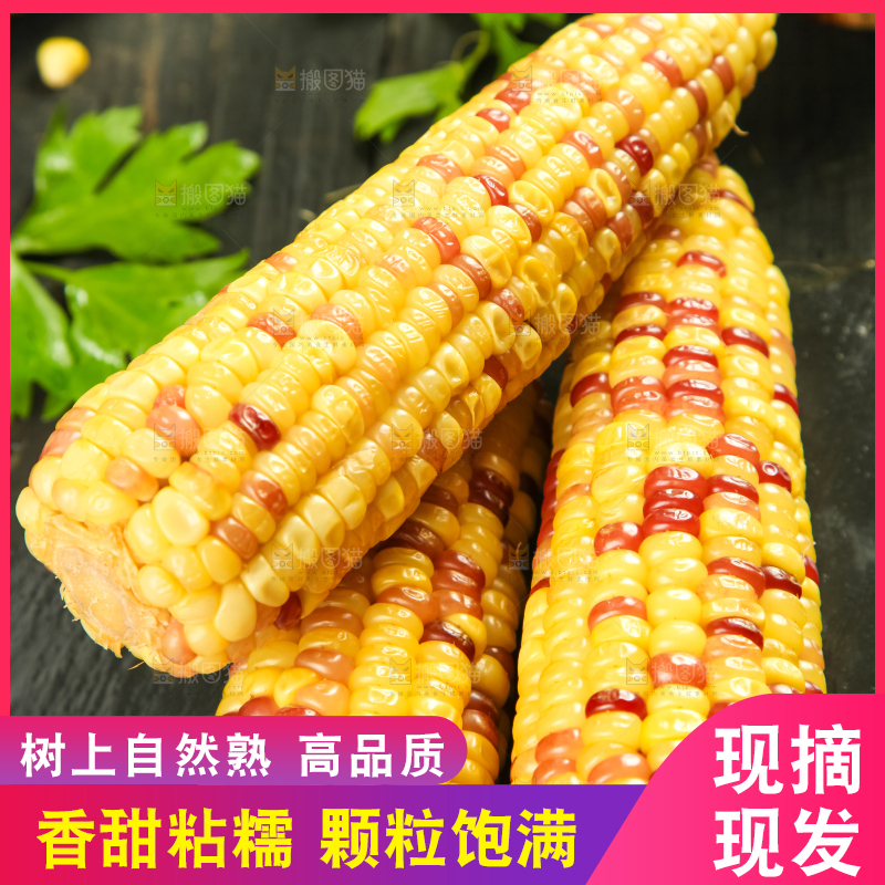 黑石板上放着糯玉米粒
