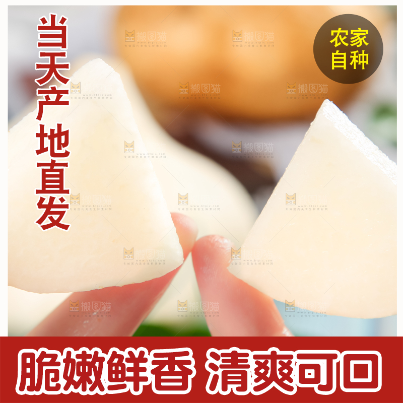 手里拿着广西白凉薯