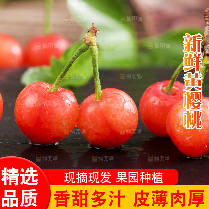 黑石垫上放着黄樱桃