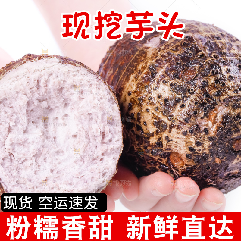 手里拿着大芋头