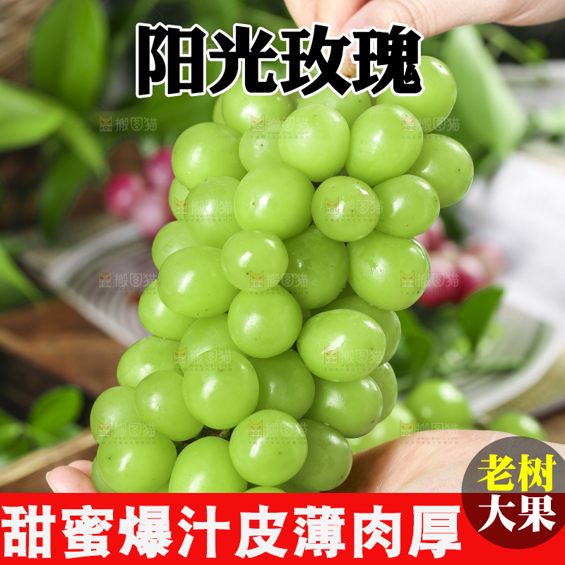 手里拿着无籽青提