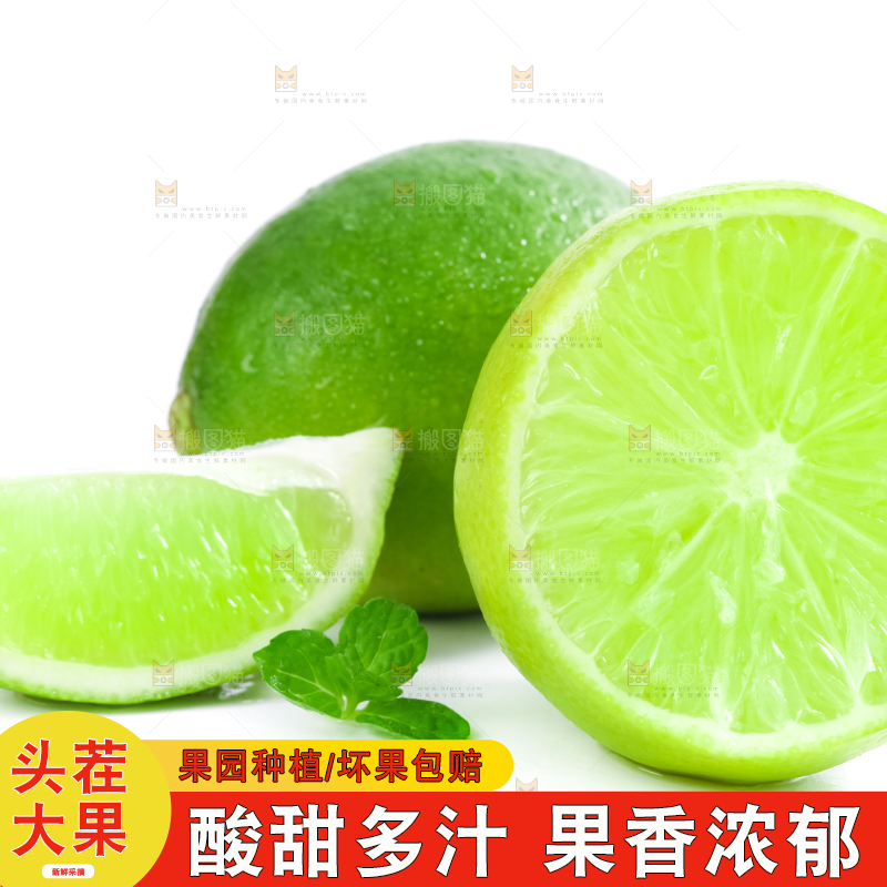 白底上放着切开的无籽青柠檬