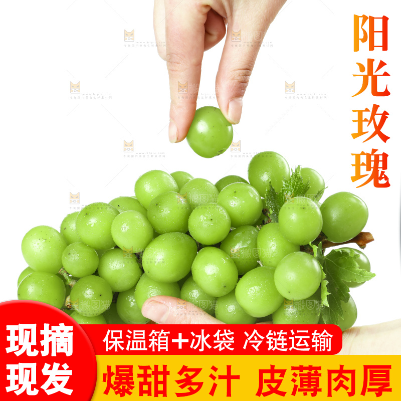 手里拿着无籽青提