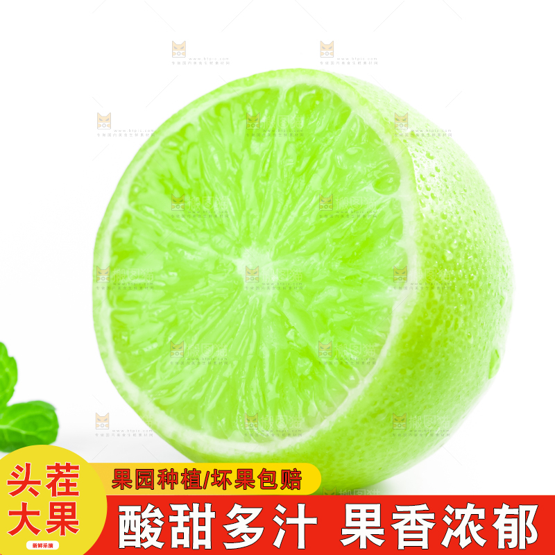 白底上放着切开的无籽青柠檬