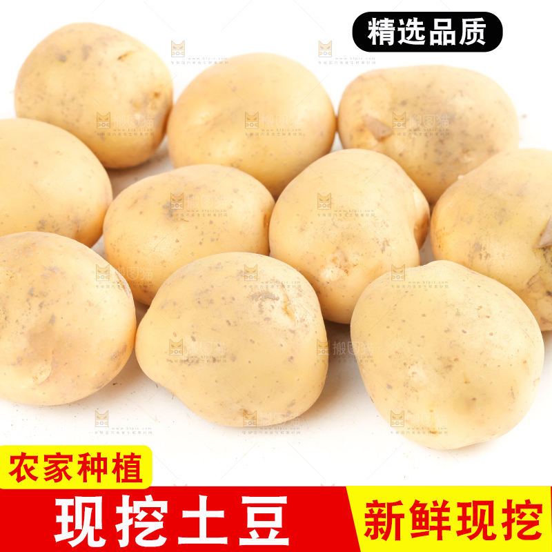 白底上放着云南小土豆
