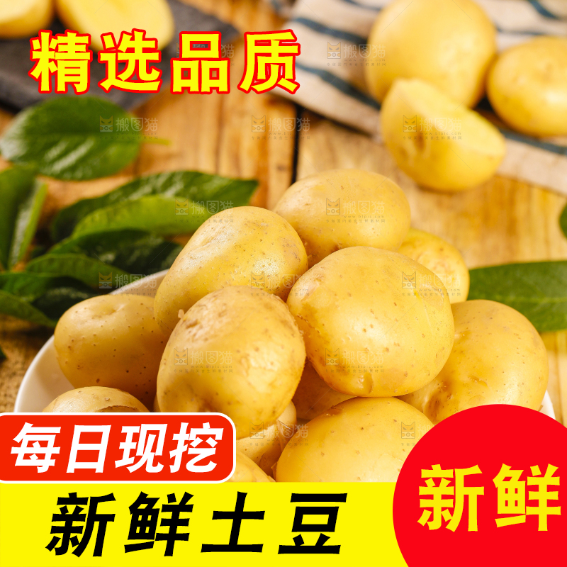 盘子里装着小土豆