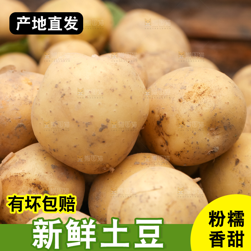 一堆小土豆