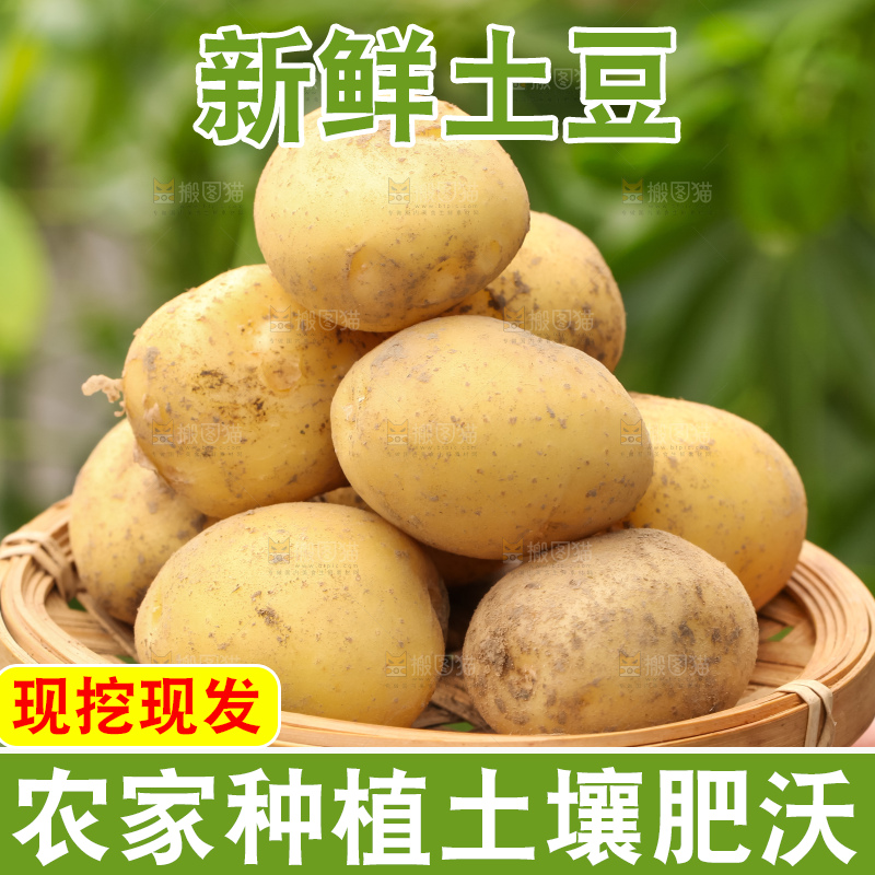 竹篮里放着云南小土豆