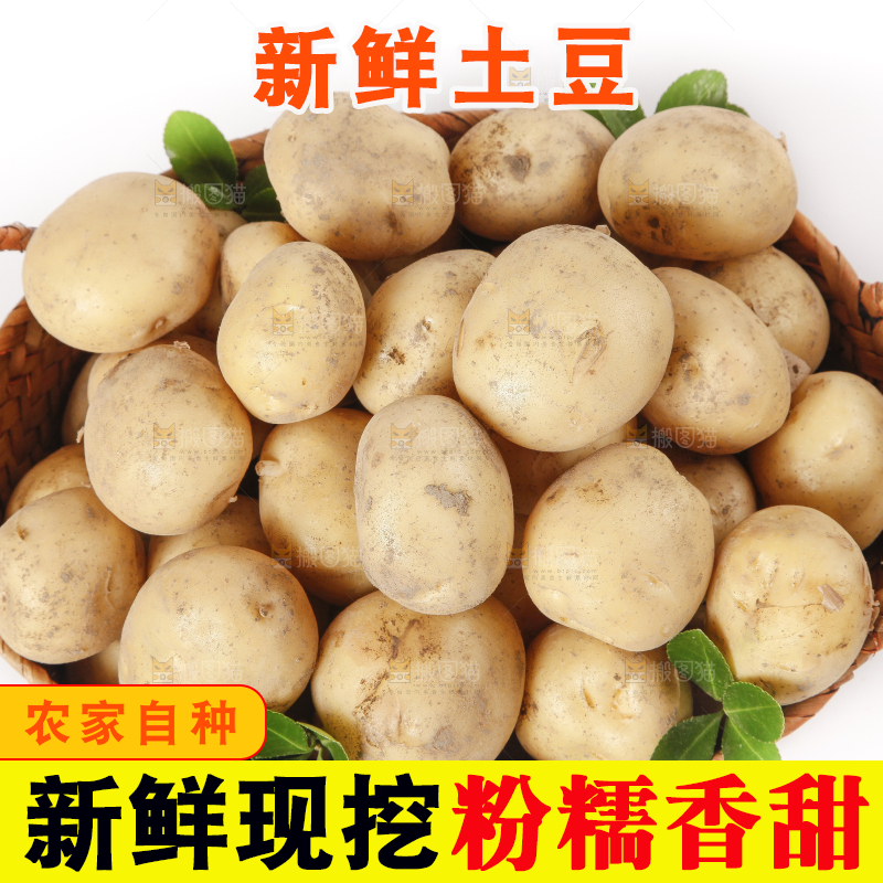 竹篮放着小土豆
