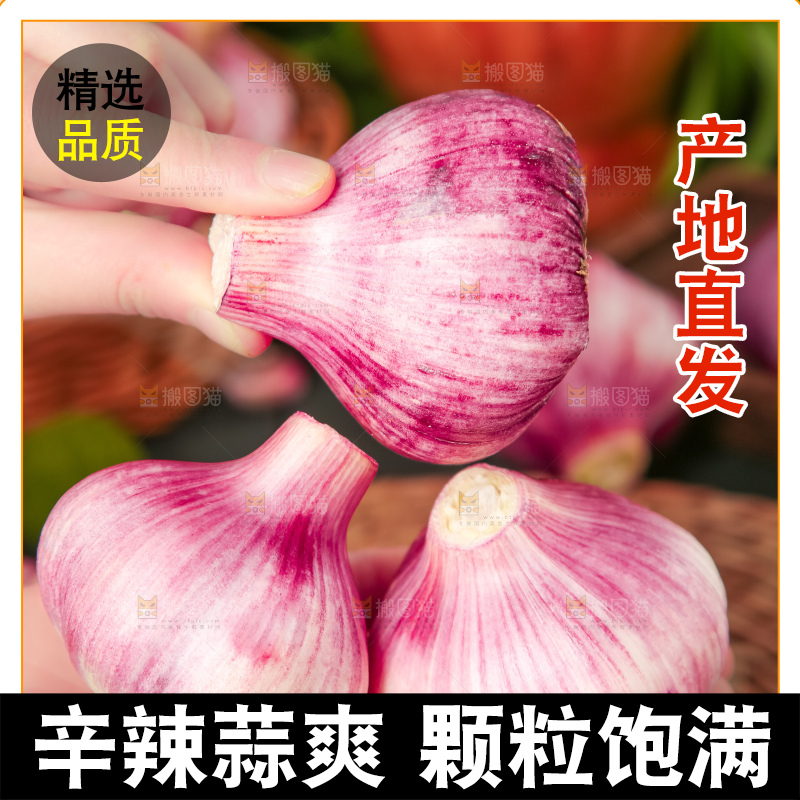 手里拿着紫皮蒜