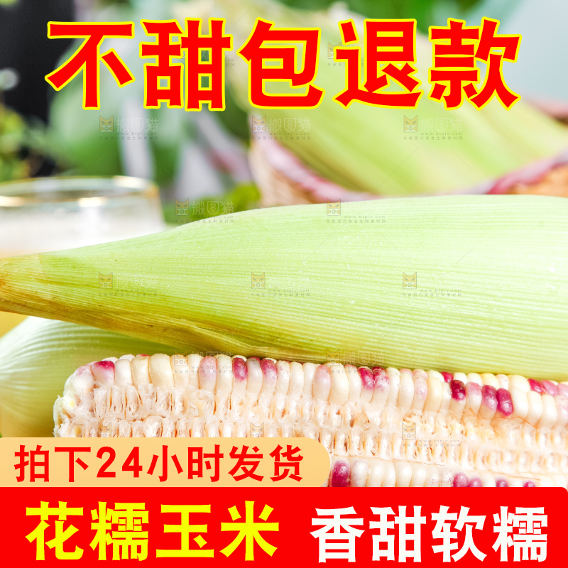 木板上放着剥皮的香甜糯玉米
