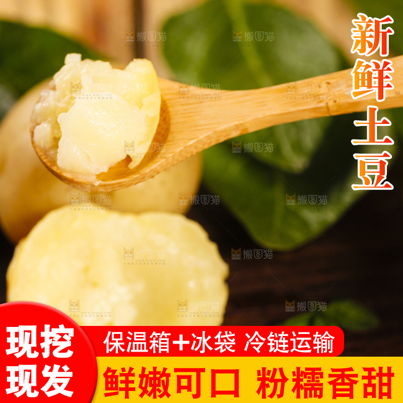 勺子里装着小土豆泥