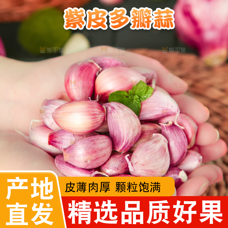 手里拿着紫皮蒜