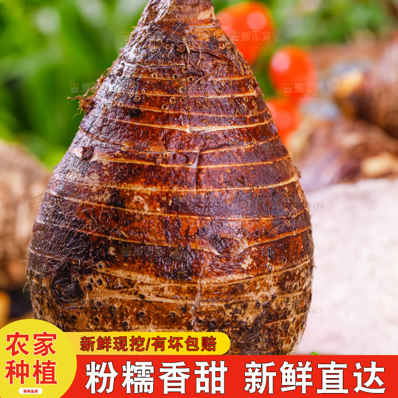 竹垫上的紫藤芋头