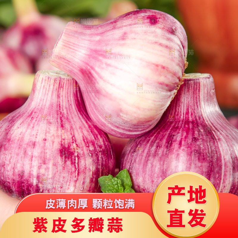 手里拿着紫皮蒜