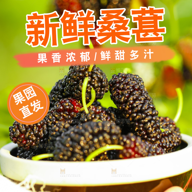 碗里装着桑葚