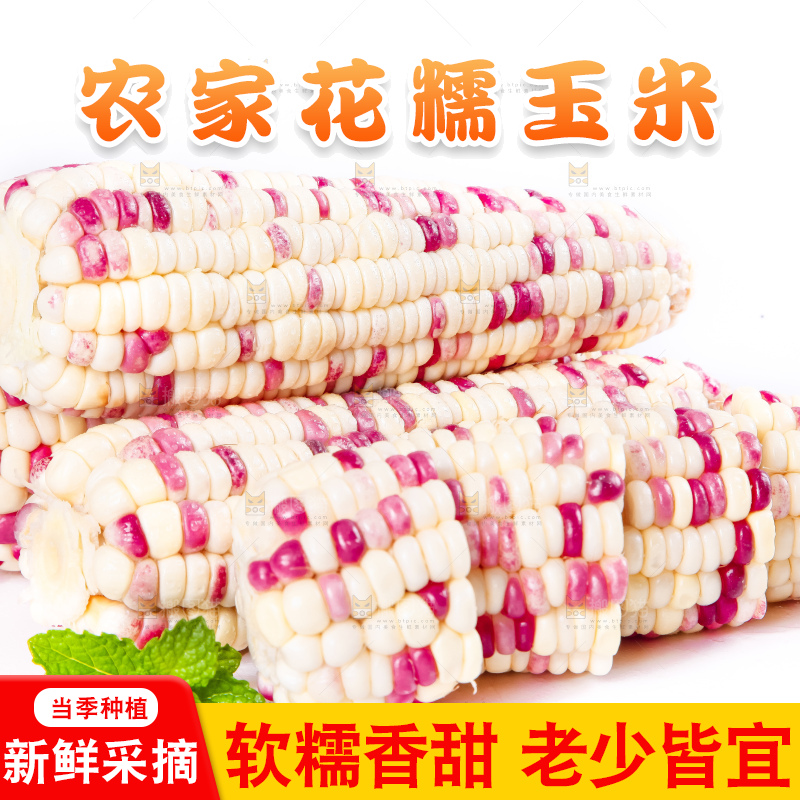 白底上放着剥皮的花玉米