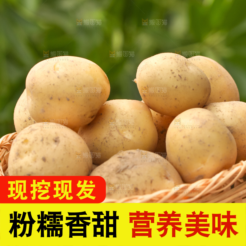 竹篮里放着云南小土豆
