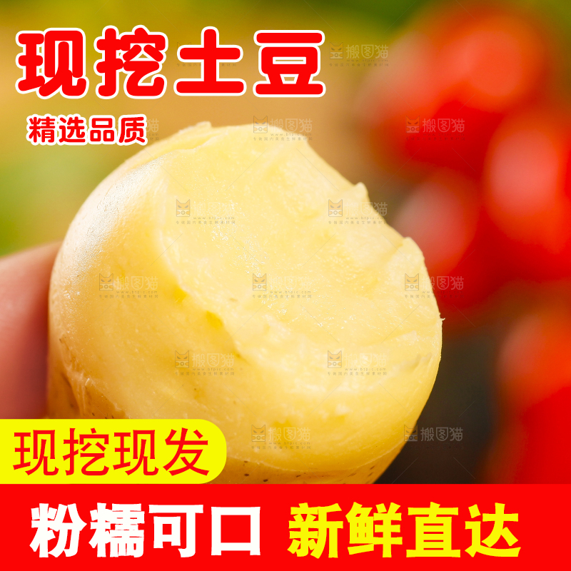 手里拿着小土豆
