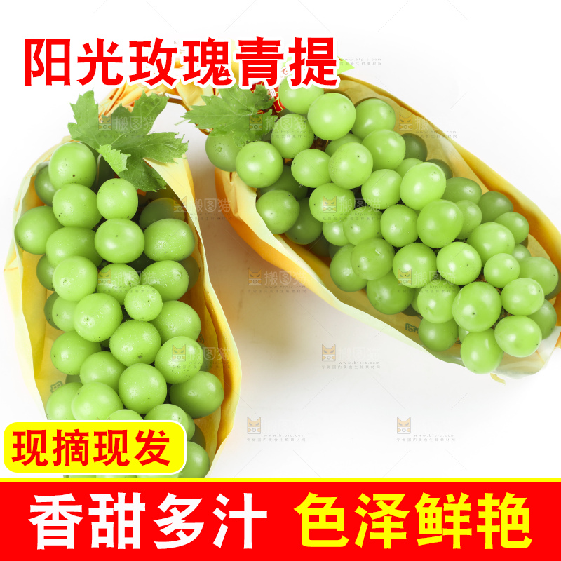 白底上摆放着阳光玫瑰葡萄