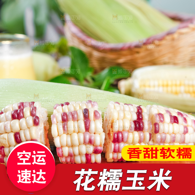木板上放着剥皮的香甜糯玉米