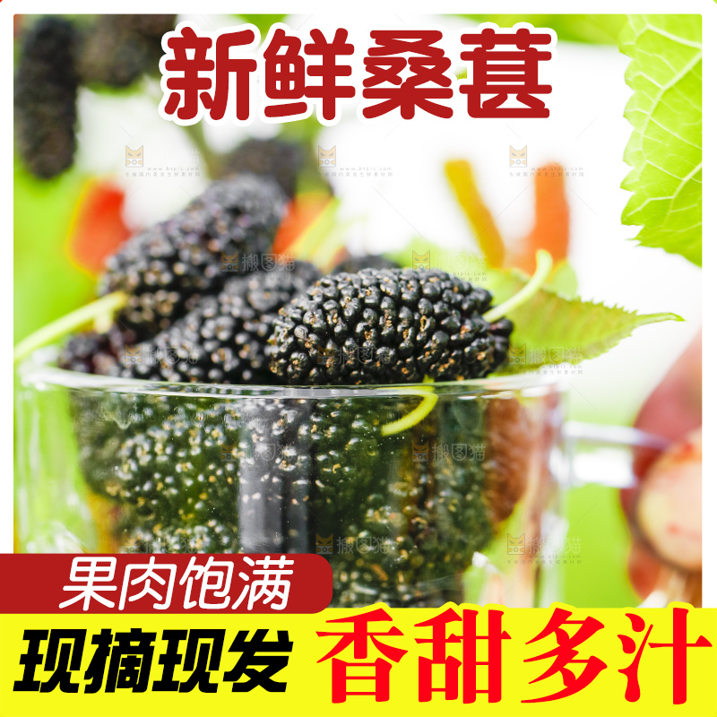 杯子里装着桑葚